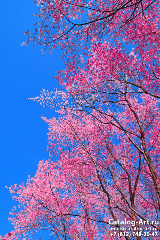 Blossom tree 118